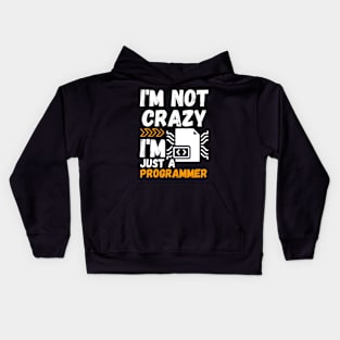 I'm not crazy, I'm just a programmer Kids Hoodie